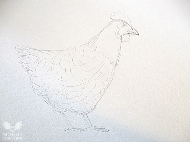 hen watercolor painting - drawing