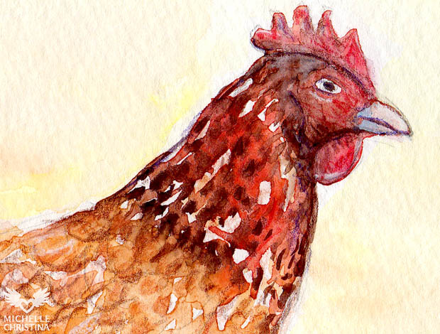 hen watercolor painting by NH artist michelle christina