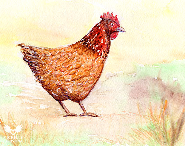 chicken watercolor painting by NH artist michelle christina